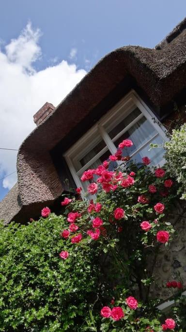 Little Thatch Cottage - Cerne Abbas, Dorset Exterior photo